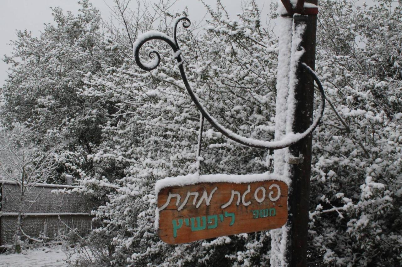 פסגת מתת Pisgat Mattat Villa Bagian luar foto