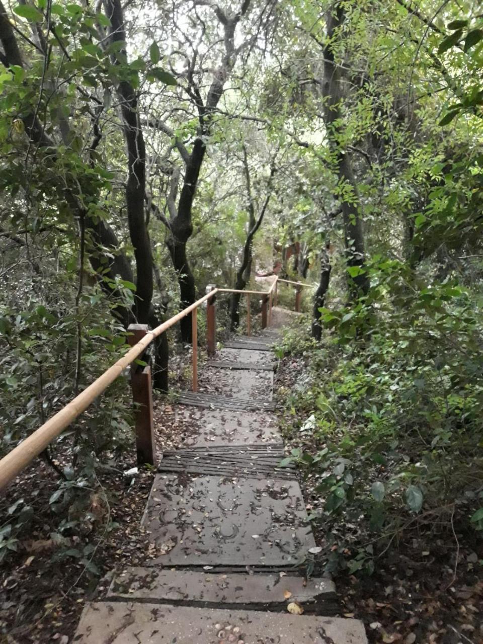 פסגת מתת Pisgat Mattat Villa Bagian luar foto