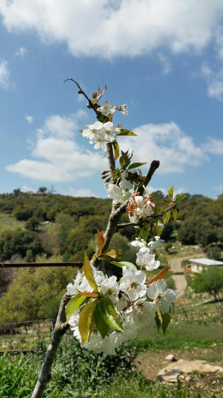 פסגת מתת Pisgat Mattat Villa Bagian luar foto