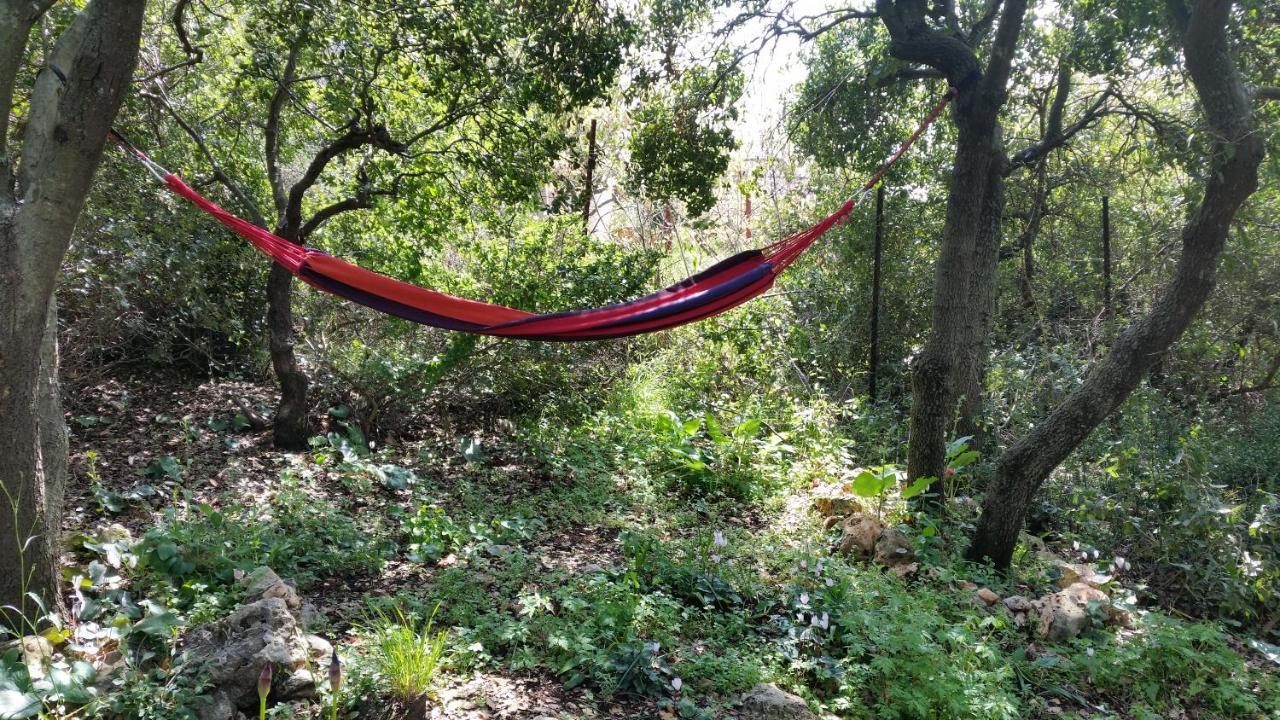 פסגת מתת Pisgat Mattat Villa Bagian luar foto
